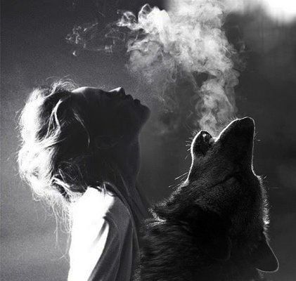 ... Wolf Woman, Werewolf Aesthetic, Wolves And Women, Dances With Wolves, Wolf Love, She Wolf, Wolf Pictures, Wolf Spirit, Under My Skin