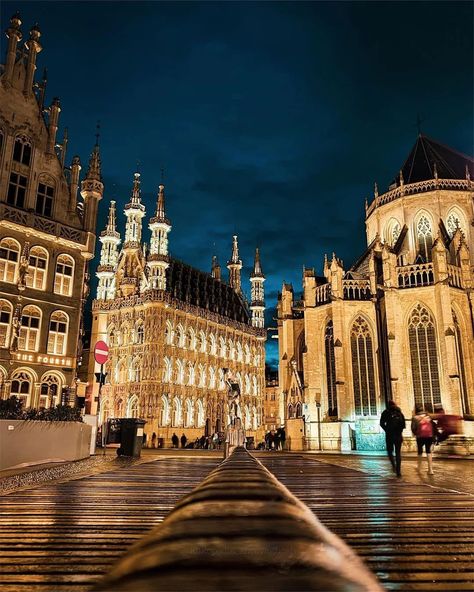 Pretty Buildings, Leuven Belgium, Past Love, Inspiration Instagram, Gothic Architecture, Beautiful Picture, City House, Travel Goals, Id Tag