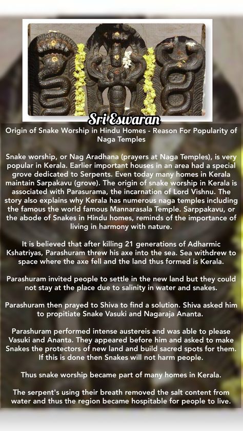 Origin of Snake Worship in Hindu Homes - Reason For Popularity of Naga Temples  Snake worship, or Nag Aradhana (prayers at Naga Temples), is very popular in Kerala. Earlier important houses in an area had a special grove dedicated to Serpents. Even today many homes in Kerala maintain Sarpakavu (grove). The origin of snake worship in Kerala is associated with Parasurama, the incarnation of Lord Vishnu. The story also explains why Kerala has numerous naga temples including the famous the world fam Naga Devatha, Snake Worship, Bhagwan Shiva, Om Namashivaya, Holy Symbol, Ganesha Tattoo, Ancient History Facts, Hindu Rituals, Goddess Sculpture