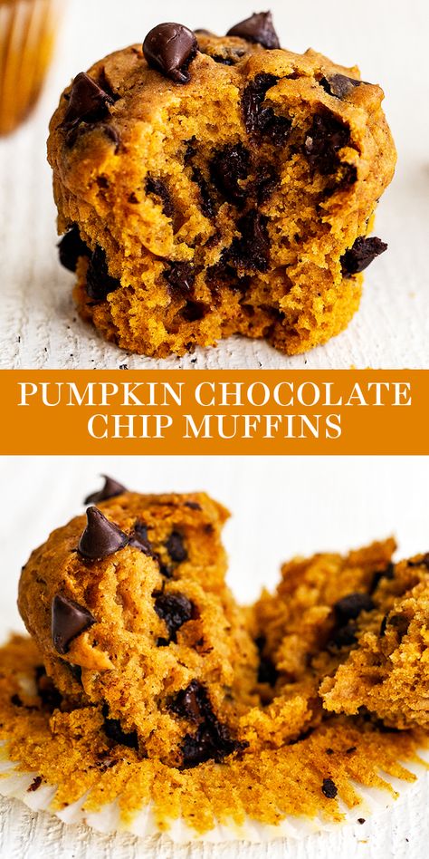 Easy Pumpkin Chocolate Chip Muffins, Pumpkin Muffins With Chocolate Chips, Muffins With Chocolate Chips, Muffins With Chocolate, Pumpkin Muffins Easy, Pumpkin Breakfast, Pumpkin Chocolate Chip Muffins, Pumpkin Chocolate Chip, Pumpkin Chocolate Chips