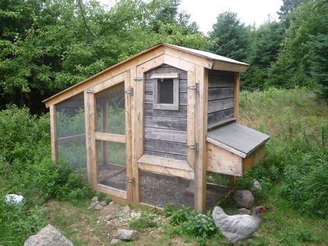 Backyard Ideas With Pallets, Pallet Chicken Coop Plans, Backyard Chicken Coop Diy, Pallet Chicken Coop, Ideas With Pallets, Small Chicken Coop, Chicken Coop Blueprints, Chicken Coop Pallets, Small Chicken Coops