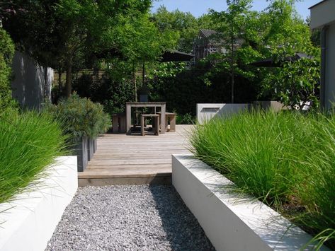 Moderne Have, Garden Design Layout, Walled Garden, Garden Architecture, Have Inspiration, Outdoor Inspirations, Back Gardens, Courtyard Garden, Modern Landscaping