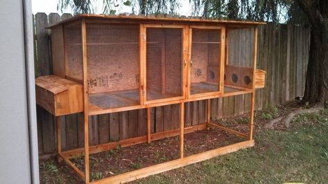 Click this image to show the full-size version. Quail Coop Ideas, Quail Coop Ideas Diy, Quail Raising, Quail Pen, Quail House, Quail Coop, Raising Quail, Duck Coop, Portable Chicken Coop