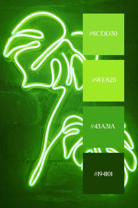 Neon Green Color Palette - Tropical Leaf:
A vibrant neon green outline of a tropical leaf, creating a glowing, lively ambiance against a dark background. Green Colour Palette, Color Palette Generator, Color Harmony, Aesthetic Colors, Lush Green, Tropical Leaves, Green Aesthetic, Neon Green, Dark Backgrounds