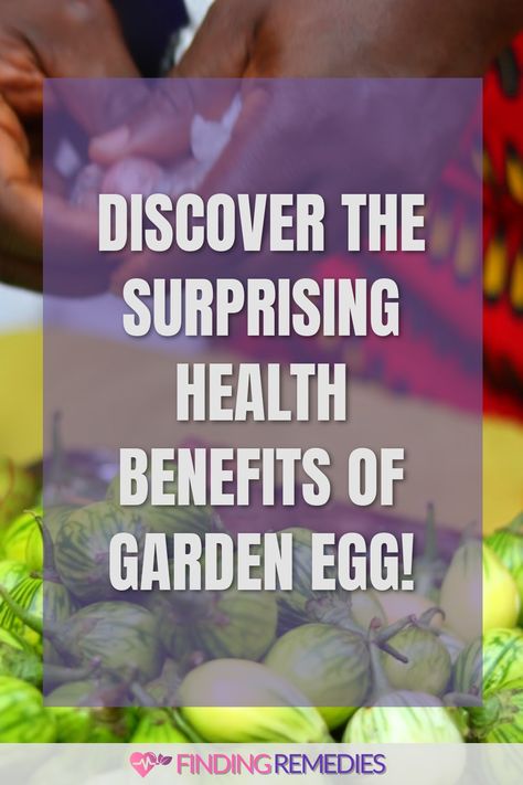 Discover the Surprising Health Benefits of Garden Egg! Egg Fruit, Prebiotic Foods, Egg Benefits, Benefits Of Gardening, Beauty Diet, Women Health Care, Fat Foods, Diy Remedies, Optimal Health