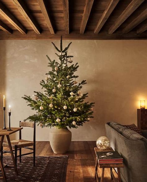 Image of the product SHOP THE LOOK Zara Home Christmas 2022, Zara Home Christmas, Concrete Effect Paint, Scandinavian Christmas Decorations, Look Zara, Natural Christmas Decor, Christmas Dining Table, Elegant Christmas Trees, Colonial Christmas