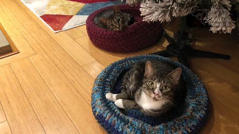 Crochet Padded Rim Cat Nap Bed Pattern - The Crochet Crowd Crochet Cat Cave Pattern Free, Crochet Cat Beds, Diy Crochet Cat Bed, Cat Bed Pattern, Nap Bed, Diy Cat Bed, Crochet Cat Bed, The Crochet Crowd, Crochet Crowd