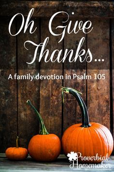 Oh Give Thanks... a simple 7-day family dinner time devotion for Thanksgiving or any time of year! Printables include scripture and great ideas. Pursue God, Thanksgiving Devotions, Thanksgiving Tradition, Psalm 105, Simple Thanksgiving, Thankful Tree, Homemade Bird Feeders, Printable Scripture, Resurrection Sunday