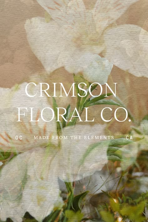 Floral Design Branding, Wedding Florist Branding, Floral Branding Design, Floral Packaging Design, Botanical Branding, Floral Logos, Flower Shop Logo, Floral Website, Whimsical Branding