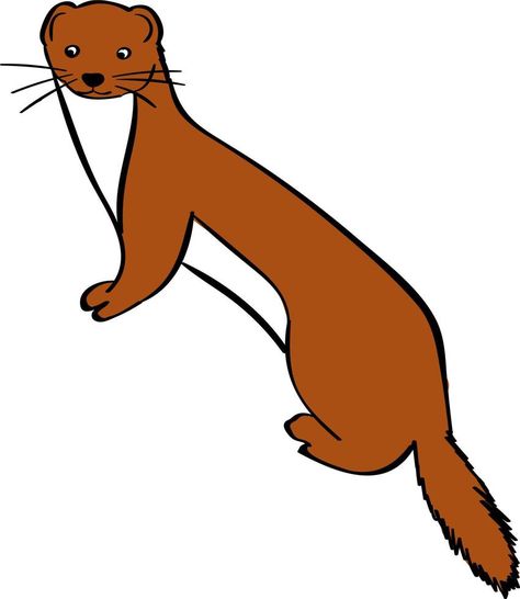 Weasel, illustration, vector on white background. Weasel Illustration, Weasel Drawing, Background Background, Vector Drawing, Illustration Vector, White Background, Vector Free, Clip Art, Graphic Design