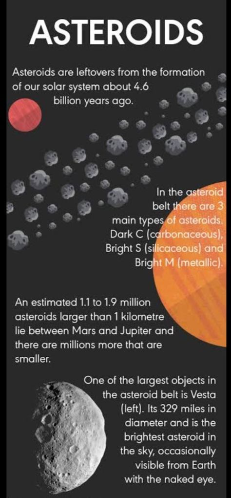 Asteroid Belt Project, Astronomy Projects High School, Infants Classroom Ideas, Astronomy Study, Classical Conversations Essentials, Newspaper Names, Solar System Unit, Comets And Asteroids, Asteroid Mining