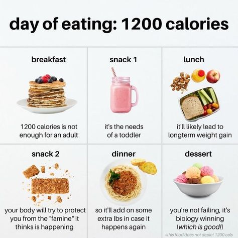 Are you an adult or a toddler? Comment below! . Just when I think that maybe, maaaaaybe we are making progress with the whole not recommending 1200 calorie toddler diets anymore thing I see a few pop up on my explore page 🙄 So the answer to my question of “Do I need to keep saying this?” is 180% yes. Day Of Eating, 100 Calorie Snacks, 1200 Calorie, 1000 Calories, Counting Calories, 1200 Calories, Calorie Deficit, Breakfast Snacks, 100 Calories