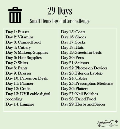 29 Days Small Items Big Clutter Challenge | Sabrinas Organizing Clutter Challenge, Pretty Organization Ideas, Month Challenge, Year Challenge, Blog Organization, 29 Days, Declutter Challenge, Organizing Challenges, Days Challenge