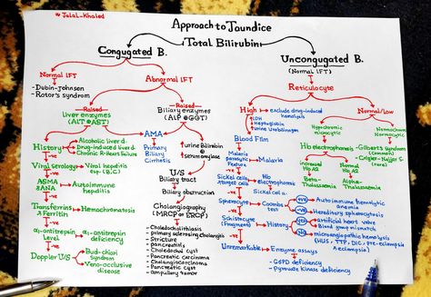 Approach to Jaundice Jaundice Notes, Dental Notes, Nursing School Success, What Is Intelligence, Nclex Practice Questions, Case Presentation, Medicine Notes, Basic Anatomy And Physiology, Medical Posters