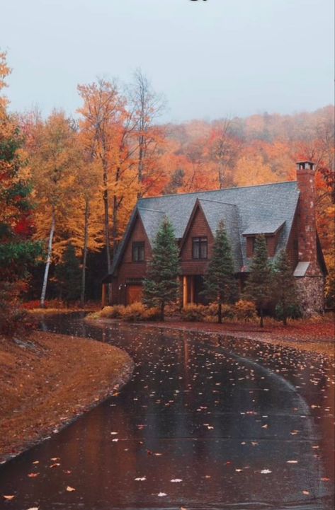 Leaves On The Ground, Autumn Scenery, Cabin Life, Fall Feels, Best Seasons, Fall Pictures, 판타지 아트, Autumn Cozy, Autumn Aesthetic