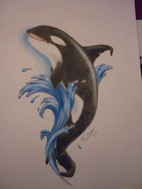 Orca Drawing Pencil, Orca Drawing, Watercolor Whales, Color Pencil Drawings, Orca Tattoo, Dolphin Wall Art, Dolphins Tattoo, Hat Decor, Some Drawings