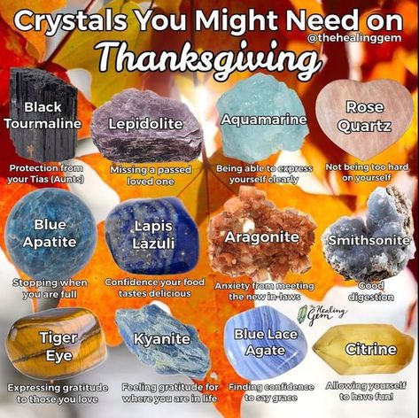 List Of Crystals, Crystal Protection, Gemstones Chart, Bright Tattoos, Wiccan Crafts, Healing Vibes, Rose Stone, Castle Aesthetic, Family Thanksgiving