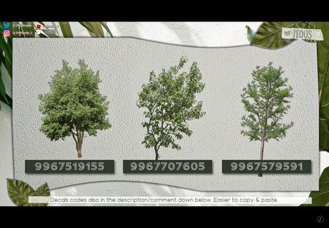 Decal Trees Bloxburg, Transparent Tree Decal Bloxburg, Tree Codes For Bloxburg, Bloxburg Landscape Decal Codes, Plant Ids Bloxburg, Blocksburg Plant Decal Codes, Decal Tree Bloxburg, Realistic Bloxburg Plant Decal, Bloxburg Plant Decals Codes Palm Tree