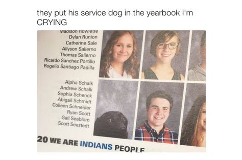 File this under the best yearbook picture ever. A service dog is recognized for his time in class with the most adorable photo we’ve ever seen. Friend Things, Yearbook Pictures, Faith In Humanity Restored, Service Dog, Fun Fun, Funny Animal Memes, Workout Humor, Faith In Humanity, Service Dogs