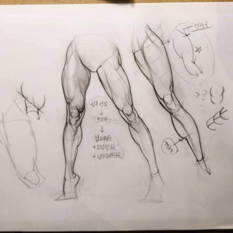 남성 근육, Leg Anatomy, Art Anatomy, Life Drawing Reference, Draw Doodle, Human Anatomy Drawing, Action Pose, Anime Illustration, 얼굴 그리기