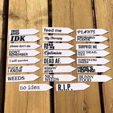 Greenhouse Signs Funny, Plant Quotes Funny Garden Signs, Funny Plant Markers, Funny Plant Stakes, Plant Sayings Funny, Funny Garden Signs Hilarious, Funny Plant Sayings, Funny Garden Signs, Tree Quotes