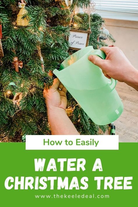 Christmas Tree Clippings Ideas, How To Keep A Christmas Tree Alive, Real Christmas Tree Care, Christmas Tree Water Solution, Best Christmas Tree Stand, Christmas Tree Care, Christmas Tree Water, Infographic Ideas, Natural Christmas Tree