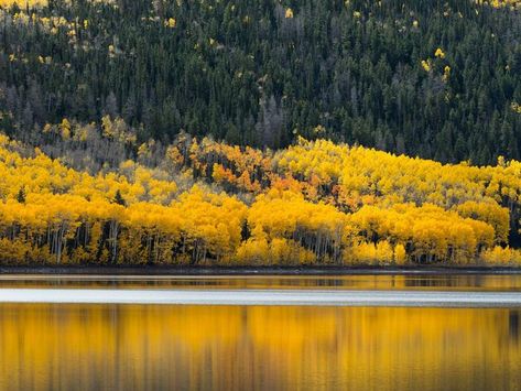 Fishlake National Forest Utah, Us National Forests, Utah Camping, Green Oasis, Forest Photos, Lake Fishing, Scenic Byway, Forest Service, Salt Lake City Utah