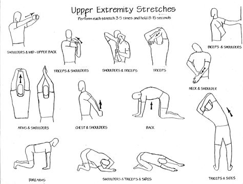 Upper body stretches - great for maintaining flexibility which helps with faster recovery in case of injury or if you have a desk job Theraband Exercises, Upper Body Stretches, Archery Tips, Climbing Workout, Archery Bows, Body Stretches, Traditional Archery, Shooting Sports, Yoga For Flexibility