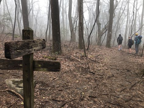 The Hike In Georgia Takes You To A Historic Graveyard Georgia Aesthetic, Hiking In Georgia, Georgia History, Chattahoochee National Forest, 17th Century Art, Old Cemeteries, Luxor Egypt, Farm Tour, Appalachian Trail