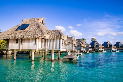 Pros & Cons of Over-Water Villa Hotels - Eat Work Travel | Travel Blog for Working Couples Water Villa, Vacation Planning, Private Villas, Bora Bora, Work Travel, Destiny, Travel Blog, Travel Guide, Favorite Places