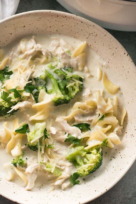 Chicken Alfredo Soup Chicken Alfredo Soup, Alfredo Soup, The Salty Marshmallow, Salty Marshmallow, Creamy Tortellini Soup, Chicken Broccoli Alfredo, Broccoli Alfredo, Chicken Enchilada Soup, Alfredo Sauce Recipe