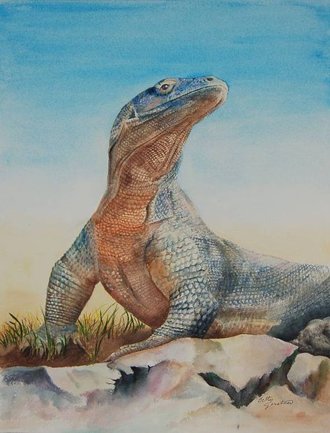 Betty Gerstner's China Painting Information on the Web - Komodo Dragon - Watercolor Painting Honolulu Zoo, Visual Communication Design, Dorm Art, Colored Pencil Artwork, Komodo Dragon, Book Cover Illustration, Dragon Illustration, China Painting, Outline Art