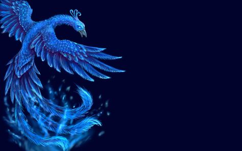 Phoenix Bird Backgrounds. Phoenix Bird Wallpaper, Phoenix Wallpapers, Blue Phoenix Bird, Birds Wallpaper Hd, Phoenix Birds, Phoenix Wallpaper, Phoenix Images, Wallpaper For Wall, Phoenix Art