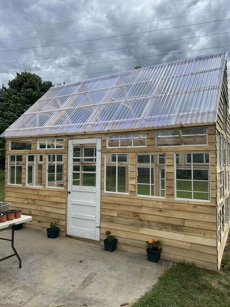 GREENHOUSE GROWERS | My hubby and I built our first greenhouse….built from repurposed windows and pallet wood | Facebook Green House Old Windows Diy, Wood Greenhouse Plans, Pallet Greenhouse, Rustic Greenhouses, Recycled Windows, Window Greenhouse, Reclaimed Windows, Repurposed Windows, Diy Greenhouse Plans