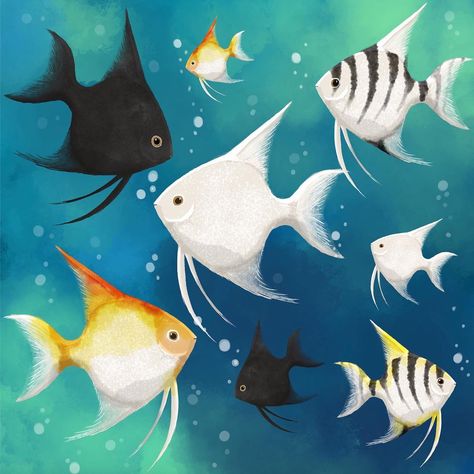 Tanya on Instagram: “My #animalalphabets angelfish! I drew the freshwater ones that I used to have as a kid. I love their shape! This is my first finished…” Angel Fish Painting, Angelfish Drawing, Ocean Steampunk, Types Of Angels, Fish Illustration, Year 3, Angel Fish, Fish Painting, Animated Drawings