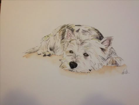 Westie Tattoos, Barney Tattoo, Westie Tattoo, Westie Art, Pet Tattoo Ideas, Tatoo Dog, Pet Memorial Tattoo, Pet Tattoos, Puppy Sketch