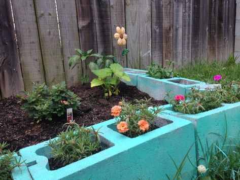 Use colorful painted cinderblocks for garden edging and plants featured on Remodelaholic.com Arkansas Garden, Moss Roses, Garden Edge, Garden Edging Ideas, Cinder Block Garden, Ideas For Garden, Cinder Blocks, Garden Idea, Pea Gravel