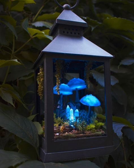 New lantern with blue mushrooms and crystals 💙 #mushroomlamp #mushrooms #nature #mushroom #art #forest #forest_of_twinkling_fireflies #moss #wood #fungi #fairy #mushroomsociety #glow #amazing #fungi Lamp Mushroom, Fairy Mushroom, Fairy Lanterns, Fairy Garden Designs, Mini Fairy Garden, Fairy Lamp, Led Decor, Mushroom Decor, Diy Fairy