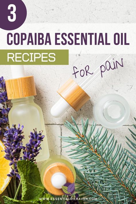 3 free Copaiba essential oil recipes for pain. Enjoy this oil's pain soothing benefits. Start here to learn how. #essentialoils #copaiba #painrelief #essentialoilhaven Copaiba Essential Oil Blends, Essential Oil Recipes For Pain Relief, Copaiba Essential Oil Benefits, Pain Relief Essential Oils, Herbs Medicinal, Copaiba Oil, Eo Blends, Copaiba Essential Oil, Simply Earth