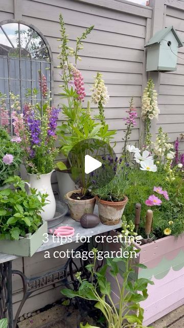 Emily Young on Instagram: "Ahead of the summer these are 3 simple things I did to create my little cottage garden 🌸☀️🩵.  The majority of flowers do grow back but for some of the pots we add new ones in to create more variety. What are you favourite flowers to grow in your garden?  Parasol - @gardenesque_uk  Mirror - @gardenesque_uk  Pots - @bandq_uk  Outdoor seating - @homebase_uk  Fence - @cuprinol_uk muted clay  Shed - @frenchicpaint dusky blush" Cuprinol Muted Clay Fence, Cuprinol Muted Clay, Border Flowers, Flowers To Grow, Backyard Ideas For Small Yards, Orchid Planters, Small Yards, Garden Parasol, Garden Border