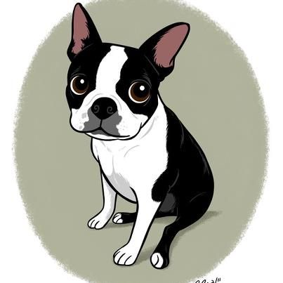 Boston Terrier by Doggie Drawings Boston Terrier Cartoon Drawings, Boston Terrier Art Illustrations, Doggie Drawings, Drawings Of Dogs, Boston Terrier Tattoo, Boston Terrier Art, Boston Art, French Bulldog Art, Dog Artist