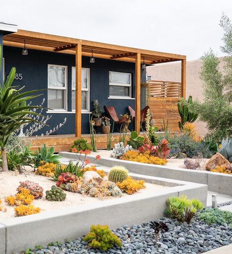 Sunset Magazine on Instagram: “"I'd never seen a cactus before visiting California,” says Jasmine Fitzwilliam (@letsfrolictogether), surveying her garden and the half-…” Berm House, Palm Springs Landscaping, Saint Cecilia, Front Yard Decor, Succulent Landscape Design, Family Backyard, Salton Sea, Concrete Walls, Sunset Magazine