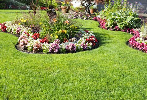 Perennial Garden Design, Flower Garden Images, Tree Mulch, Small Flower Gardens, Garden Pavers, Landscaping Around Trees, Garden Flowers Perennials, Small Yard Landscaping, Patio Flowers