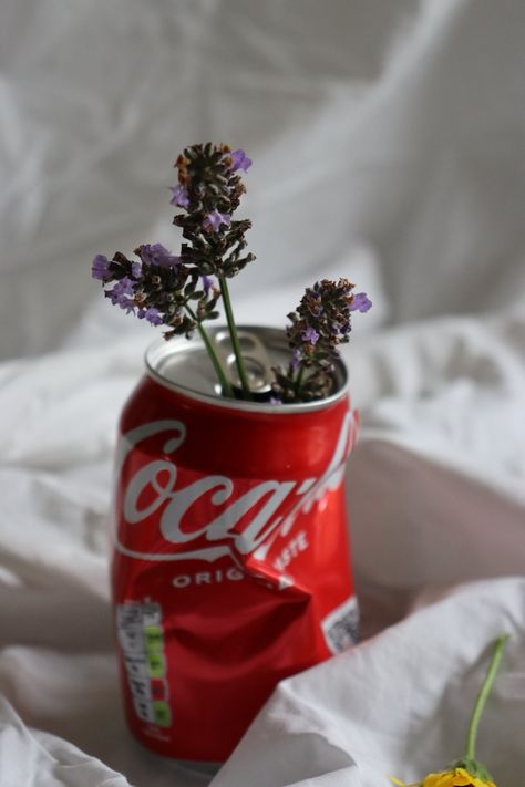 #aesthetic #photography #stilllife #flowers Coke Photography, Coke Can, Coke Cans, Personal Project, Still Life Photography, Aesthetic Photography, Film Photography, Photo Collage, Creative Photography