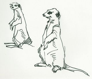 draw meerkats Meerkats Drawing, Meerkat Sketch, Meerkat Tattoo, Meerkat Drawing, Meerkat Art, Meerkat Illustration, Dancing Drawing, Indie Drawings, Book Page Art