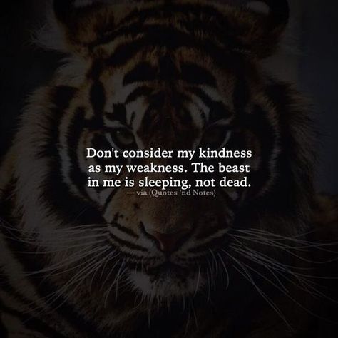 Don't consider my kindness as my weakness life quotes quotes quote inspirational quotes kindness weakness life quotes and sayings Kindness For Weakness Quotes, Underestimate Quotes, Weakness Quotes, Dont Underestimate Me, Lion Quotes, My Weakness, Best Positive Quotes, Kindness Quotes, Badass Quotes