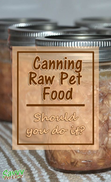 Canning Raw Pet Food - Should you do it? There are a few good reasons why canning raw pet food is something you might want to consider. Read about the benefits of canning raw food. Raw Food List, Raw Cat Food Diet, Diy Cat Food, Healthy Cat Food, Raw Cat Food Recipes, Raw Pet Food, Homemade Cat Food, Diy Dog Food, Cat Nutrition