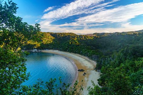 Abel tasman Abel Tasman National Park, Abel Tasman, Island Tour, South Island, Christchurch, Day Tours, Hiking Trails, Cool Places To Visit, The South