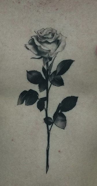 Wilted Roses Tattoo, Antique Rose Tattoo, Rose Leaf Tattoo, Shaded Rose Tattoo, Rose Sternum Tattoo, Rose Chest Tattoo, Traditional Panther Tattoo, Body Tattoo Design, Mystical Tattoos