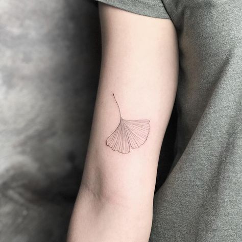 Ginseng Tattoo, Gingko Leaf Tattoo Meaning, Growing Sideways Tattoo, Ginkgo Leaf Tattoo Meaning, Ginko Biloba Tattoo, Ginkgo Leaf Tattoos, Ginkgo Tattoo, Fine Line Gingko Tattoo, Ginko Leaf Tattoo